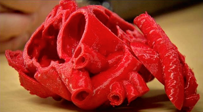 Simplify3D - 3D printed model heart