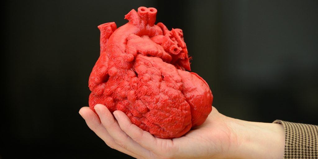 Simplify3D - 3D printed heart