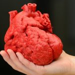 Simplify3D - 3D printed heart